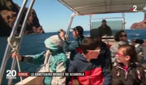 En Corse, la réserve de Scandola menacée par le tourisme