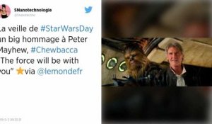 Mort de Peter Mayhew, le Chewbacca de « Star Wars », à l’âge de 74 ans