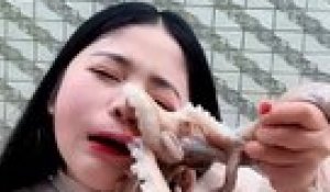 Une streameuse chinoise attaquée par un poulpe qu'elle essaie de manger vivant