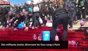 Des militants écolos déversent du faux sang sur la place du Trocadéro à Paris (vidéo)