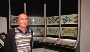 Jérôme Petitprêtre, entomologiste au muséum d’histoire naturelle de Grenoble
