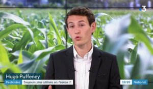 Pesticides : la France n'a pas réussi à diminuer de moitié sa consommation
