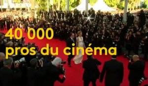 Le Festival de Cannes en chiffres