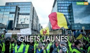 L'Avenir - Élection 26 mai 2019 en province de Namur -  Q3 - Gilets jaunes - PTB