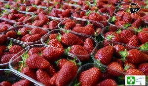 Conseil-Santé: Les vertus de la fraise