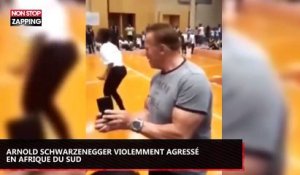 Arnold Schwarznegger violemment agressé en Afrique du Sud (vidéo)