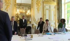 Macron réunit le premier "Conseil de défense écologique"