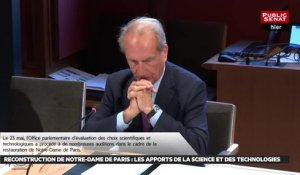 Reconstruction de Notre-dame de paris : les apports de la science et des technologies - Les matins du Sénat (24/05/2019)