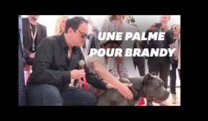 Cannes 2019 : Le chien de “Once Upon A Time... In Hollywood" récompensé