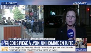 "Ça aurait pu être encore plus un carnage", selon la maire adjointe de Lyon