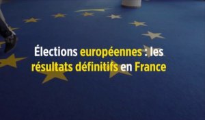 Européennes : les résultats définitifs en France