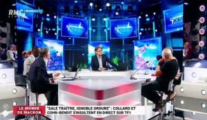 Le monde de Macron: "Sale traître, ignoble ordure", Collard et Cohn-Bendit s'insultent en direct sur TF1 - 27/05