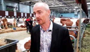 Besançon : le Grand National, un "Vache de salon !" à Micropolis en novembre