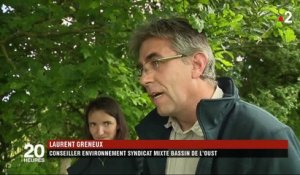 Agriculture : le retour du bocage dans les champs bretons