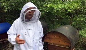 Un mois de mai meurtrier pour les abeilles