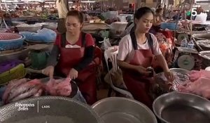 Des touristes très étonnés face à des spécialités culinaires très osées au Laos, qui ne donnent pas vraiment envie... Regardez