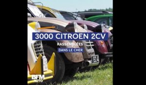 3000 Citroën 2CV réunies pour célébrer le centenaire de la marque