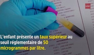 Notre-Dame : du plomb détecté dans le sang d'un enfant