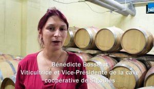 Bénédicte BOSSELUT / Viticultrice et Vice-Présidente de la cave coopérative de Sigoulès
