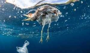 La France est championne méditerranéenne des déchets plastiques