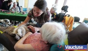 Bédarrides : des animaux à l’Ehpad pour améliorer le bien-être des résidents