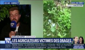 Grêle dans la Drôme: "On n'a jamais vu ça de toute notre vie", témoigne un agriculteur