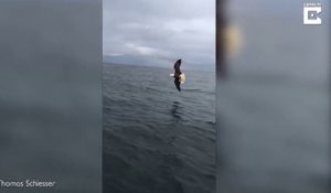 Il réussi à filmer un aigle qui capture un poisson dans l'eau !! Magnifique