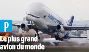 Beluga XL : comment Airbus fabrique le plus grand avion du monde