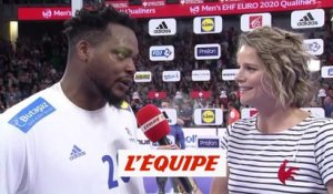 Sorhaindo «On a voulu offrir un beau spectacle» - Hand - Bleus