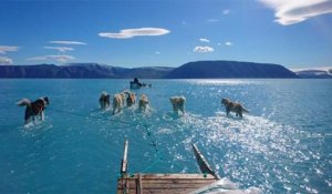 La fonte des glaces du Groenland donne l'impression que les chiens de traîneau courent sur l'eau