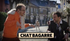 CHAT BAGARRE