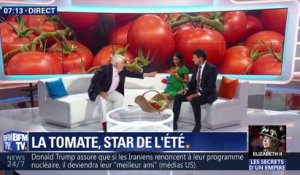 La tomate, star de l'été