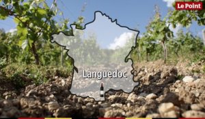 La route des vins : Languedoc