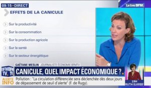 Quel impact la canicule pourrait-elle avoir sur l'économie française?