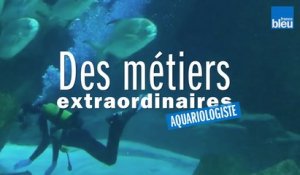 Ugo, aquariologiste à l'Aquarium de Paris au Trocadéro