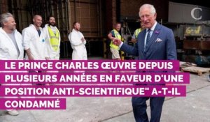 Le prince Charles accusé de "charlatanisme" : son nouvel engag...