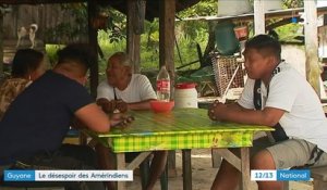 Guyane : le désespoir des Amérindiens les mène au suicide