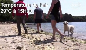 Dans le Finistère, les touristes profitent de la fraîcheur