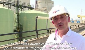 Canicule: "pas de baisse" de la production nucléaire d'EDF