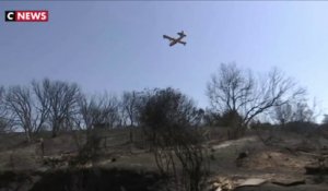 Gard : 11 maisons et 557 hectares détruits par des incendies