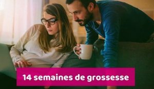 14 semaines de grossesse