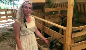 Wittring : les bons fromages de chèvre de la ferme du Kremerich