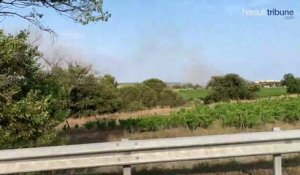Le Cap d'Agde - Plusieurs départs de feu dans la zone naturelle du Bagnas - 2 juillet 2019