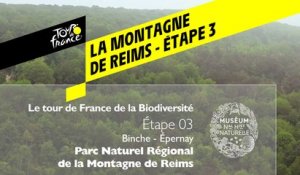 Étape 3 : Parc naturel régional de la Montagne de Reims