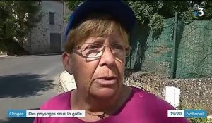 Grêle : de nombreux dégâts dans une commune du Gard