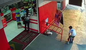 Un enfant trouve un chiot et lui sauve la vie en l'abandonnant devant un magasin