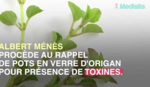 Rappel d'origan Albert Ménès pour présence de toxines cancérigènes