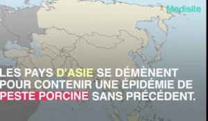 L'épidémie de peste porcine se propage dans le monde