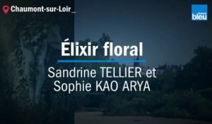 Festival des Jardins 2019 : Élixir floral, Sandrine TELLIER et Sophie KAO ARYA