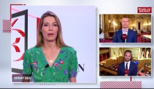 Le rendez-vous de l'information sénatoriale. - Sénat 360 (11/07/2019)